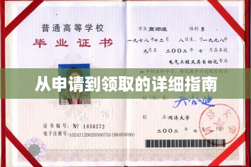 伊宁从申请到领取的详细指南