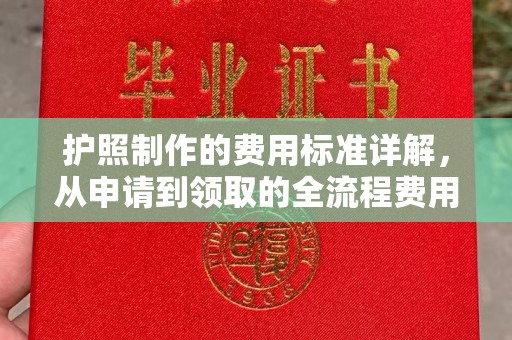 伊宁护照制作的费用标准详解，从申请到领取的全流程费用指南
