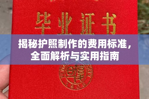 伊宁揭秘护照制作的费用标准，全面解析与实用指南