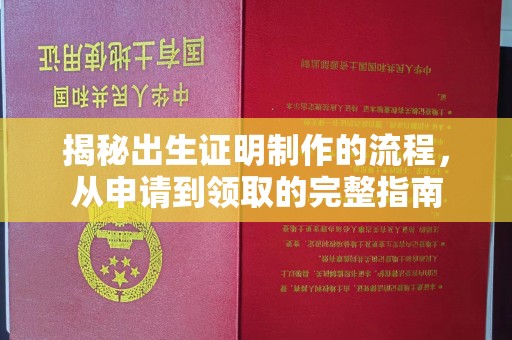 伊宁揭秘出生证明制作的流程，从申请到领取的完整指南