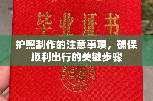 伊宁护照制作的注意事项，确保顺利出行的关键步骤